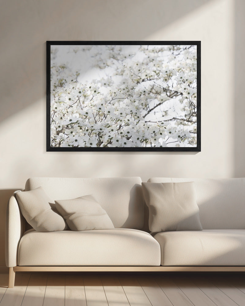 Weißer Frühlingsbaum 1 | Leinwand