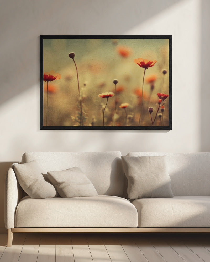 Flüsternde Mohnblumen | Leinwand