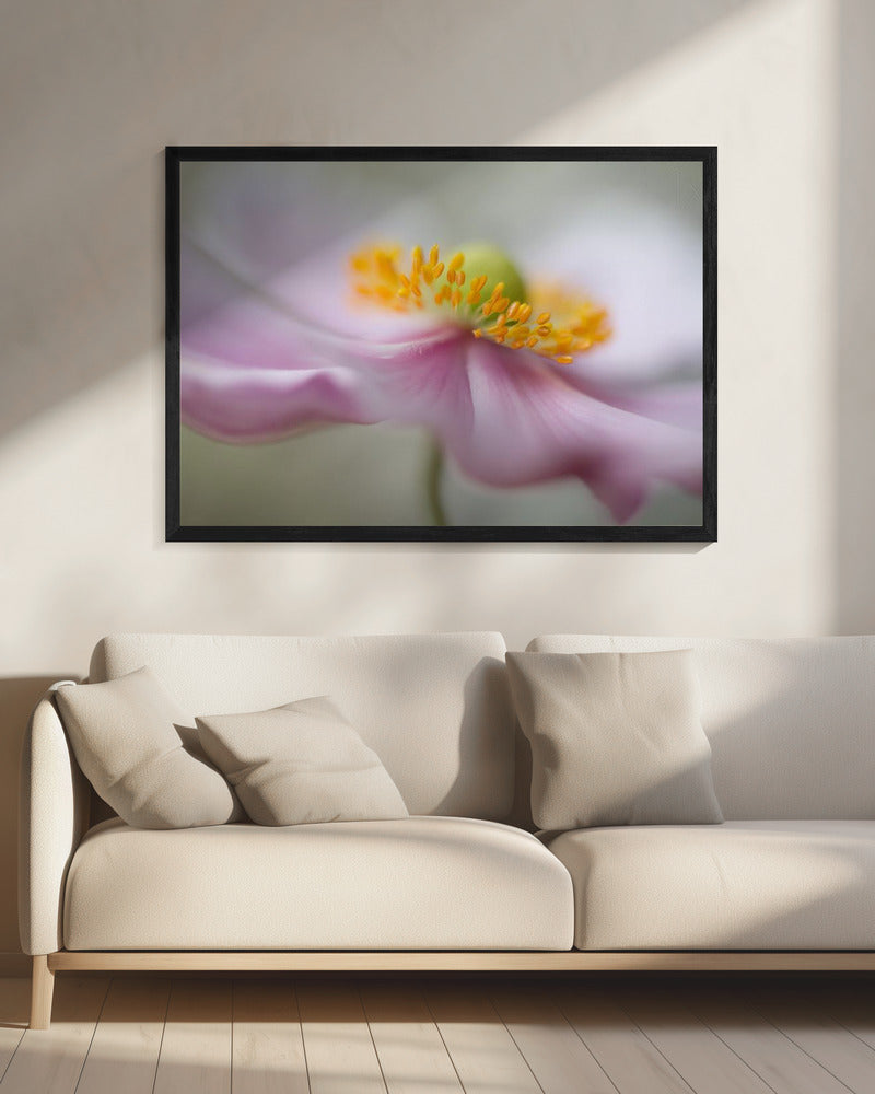 Dreaminess | Canvas