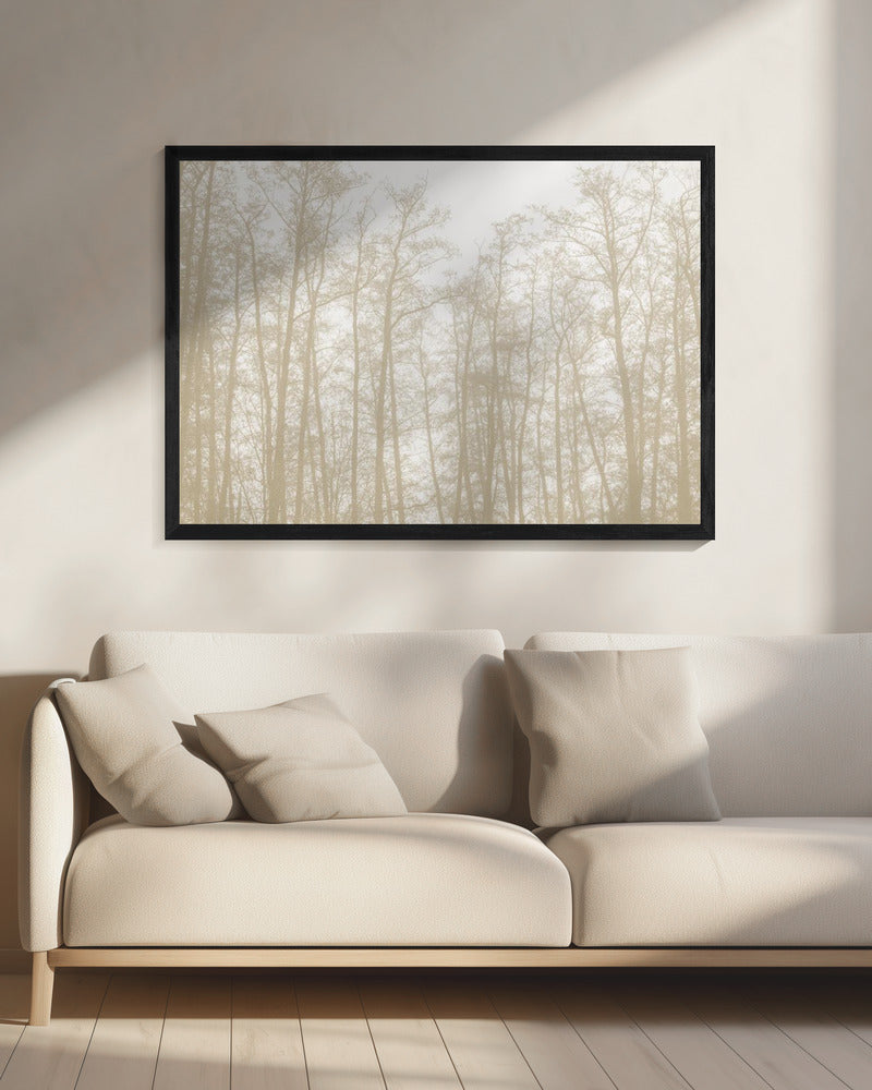 Baumsilhouetten 1 | Leinwand
