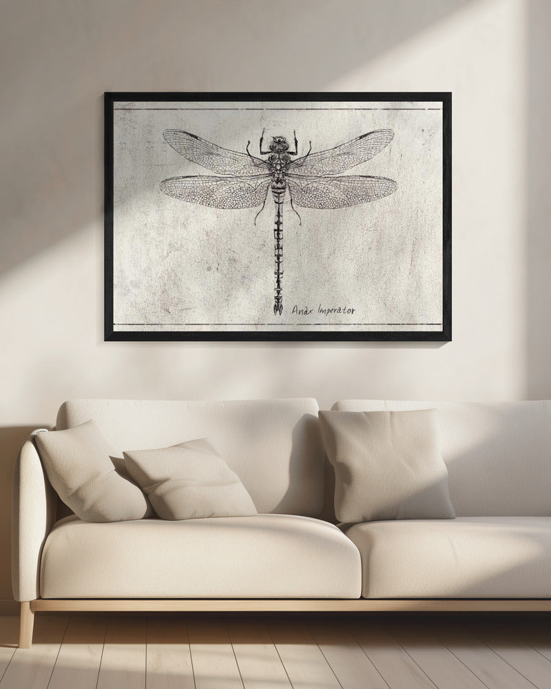 Majesty in Flight Anax Imperator | Canvas