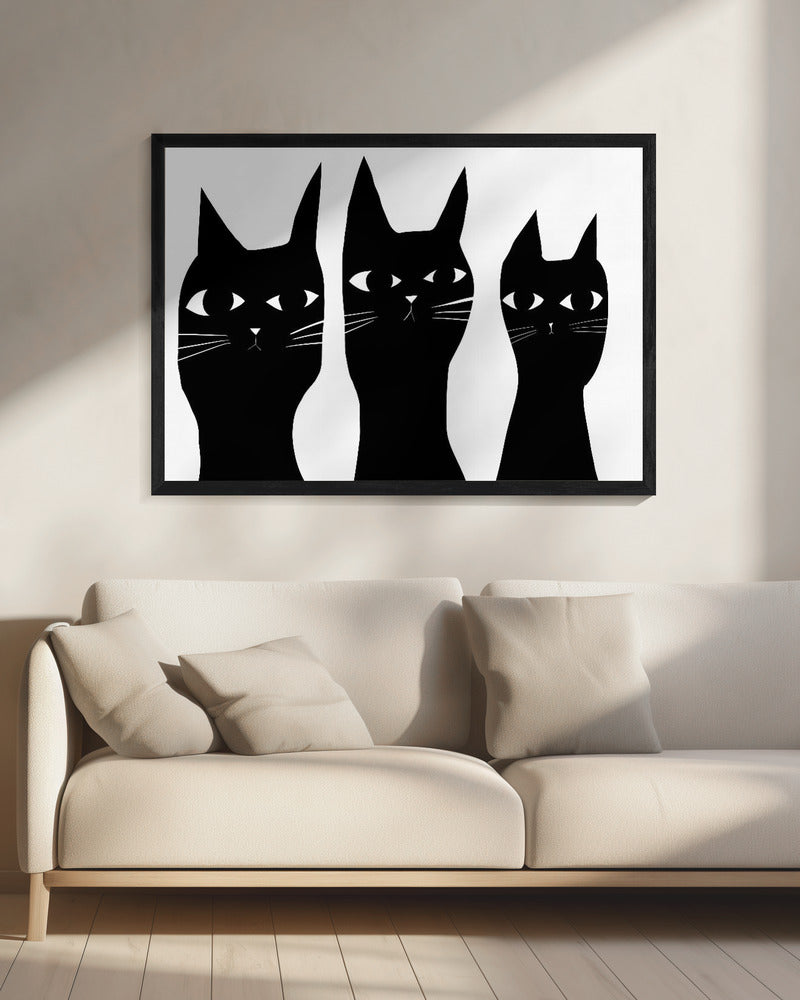 Drei schwarze Katzen spähen Katze | Leinwand