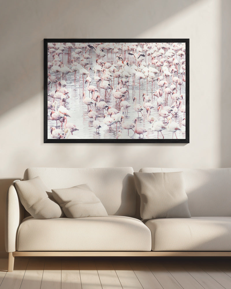 Flamingos | Leinwand