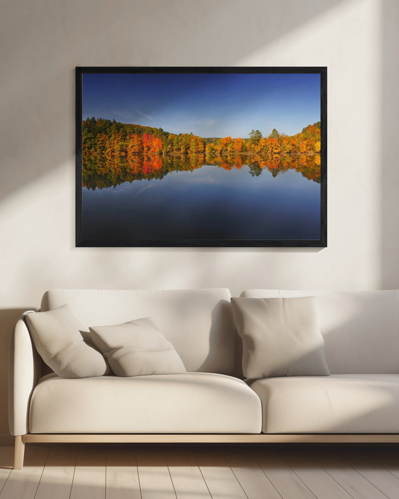 Herbst | Leinwand
