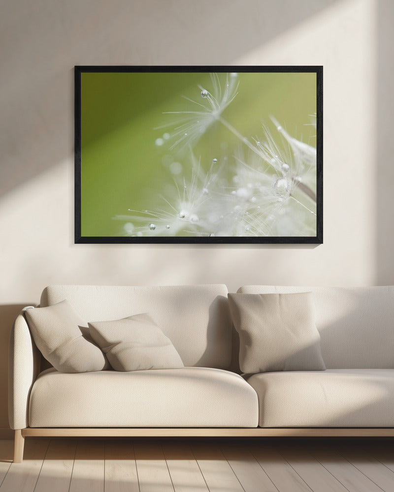 Green | Canvas