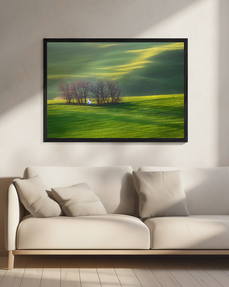 Felder... | Leinwand