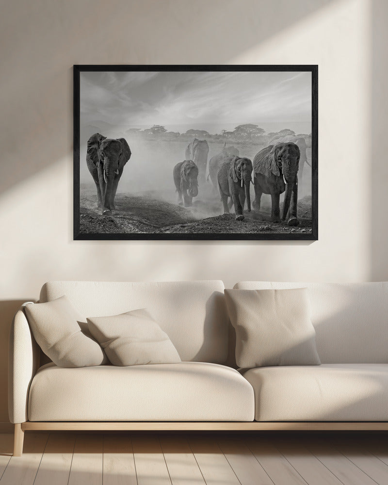 Emotionssequenz | Leinwand
