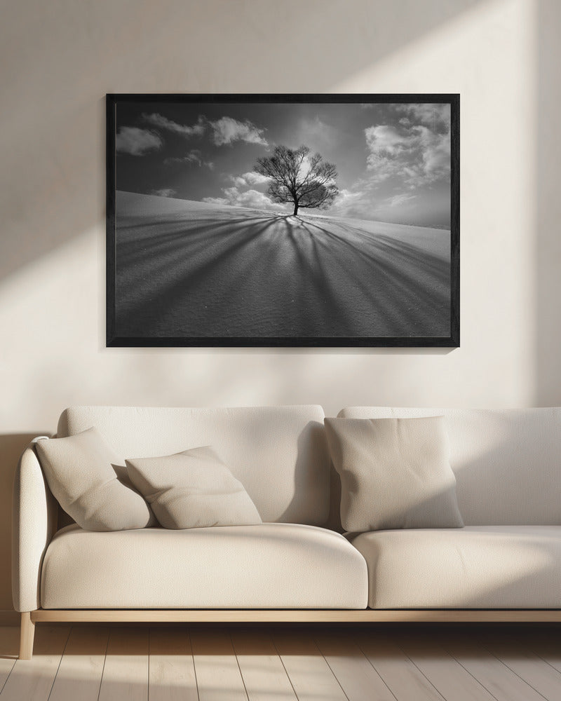 Baumschatten | Leinwand