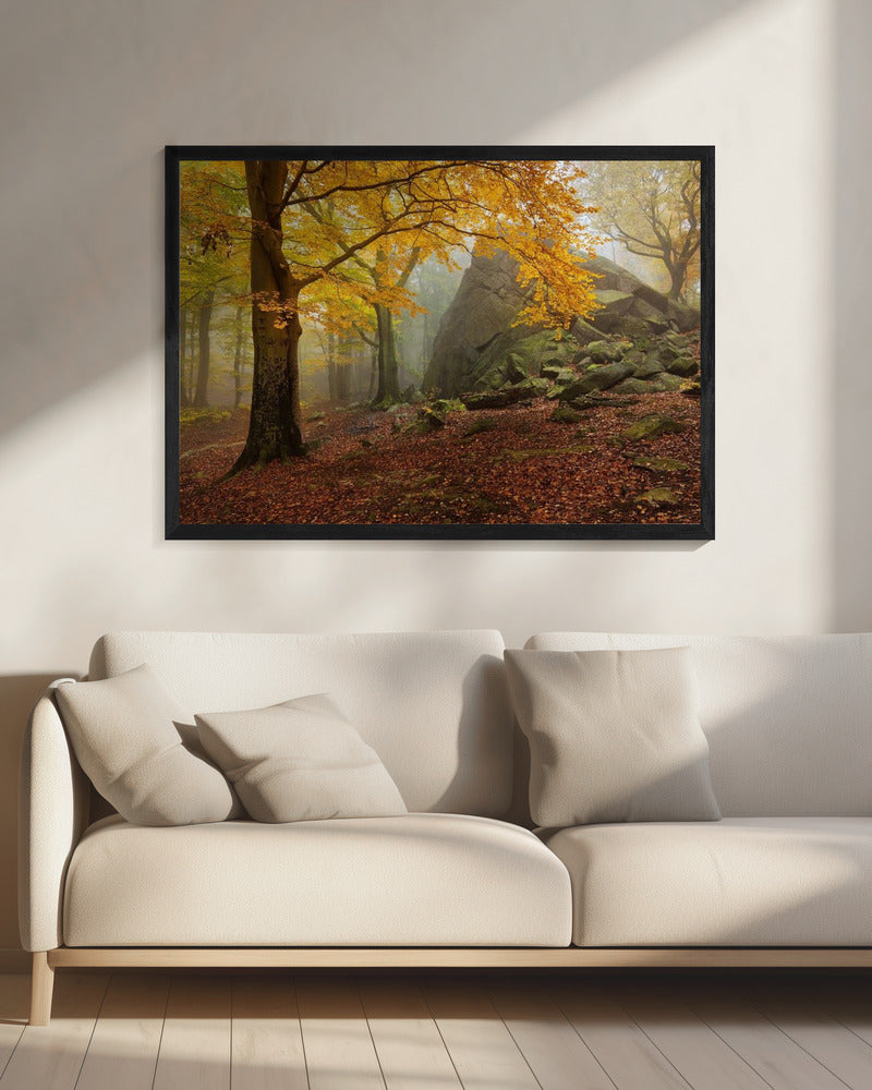 Herbstwald | Leinwand