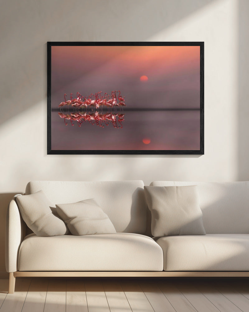 lila Sonnenuntergang | Leinwand