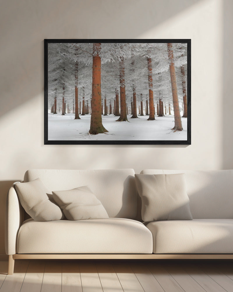 In White | Canvas