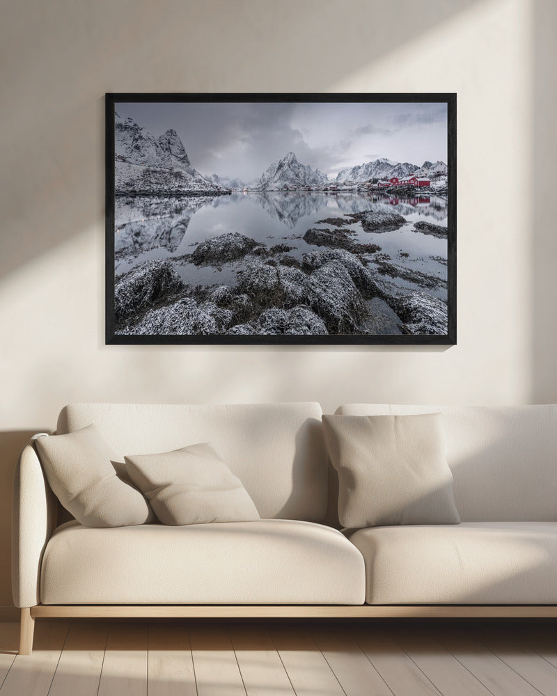Reine | Canvas