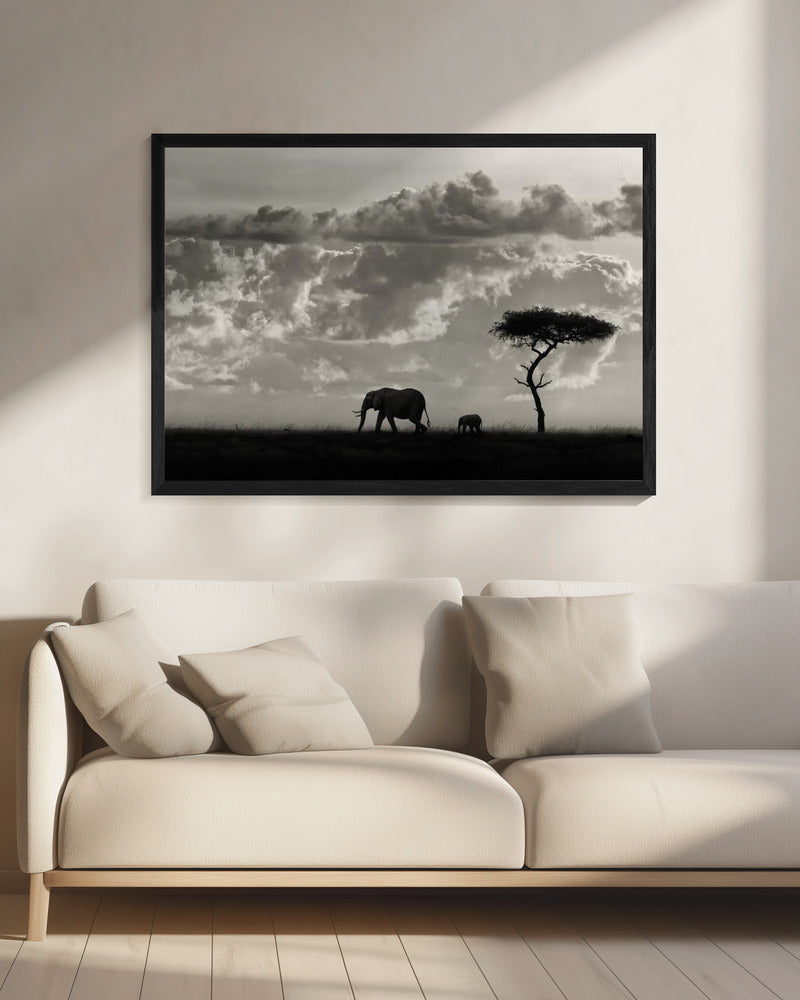 Silhouetten von Mara | Leinwand