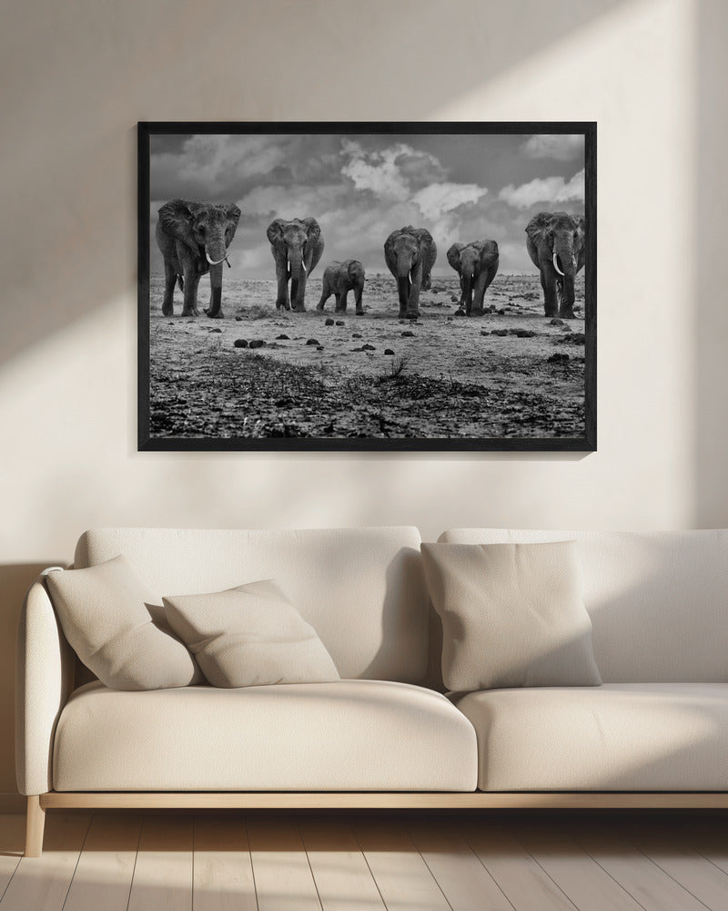Big Family | Canvas