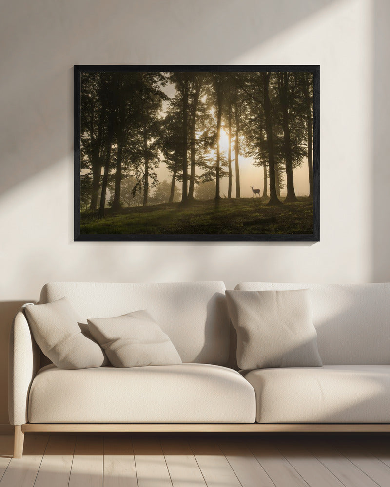 Hirsch im Morgennebel. | Leinwand