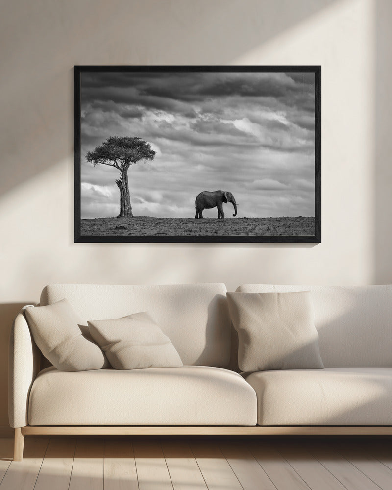 Elefantenlandschaft | Leinwand