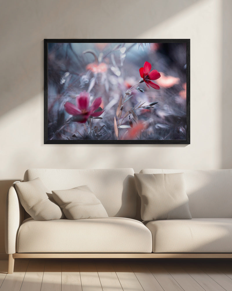 Eine Blume, eine Geschichte | Leinwand
