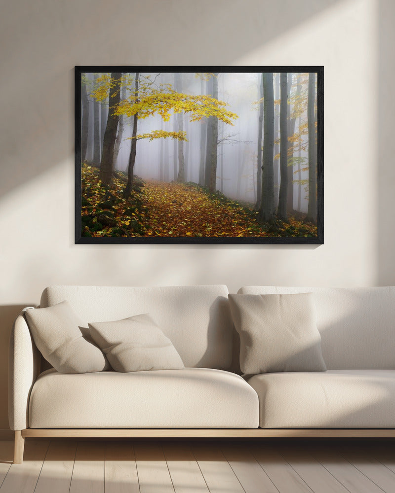 Ohne Titel | Leinwand