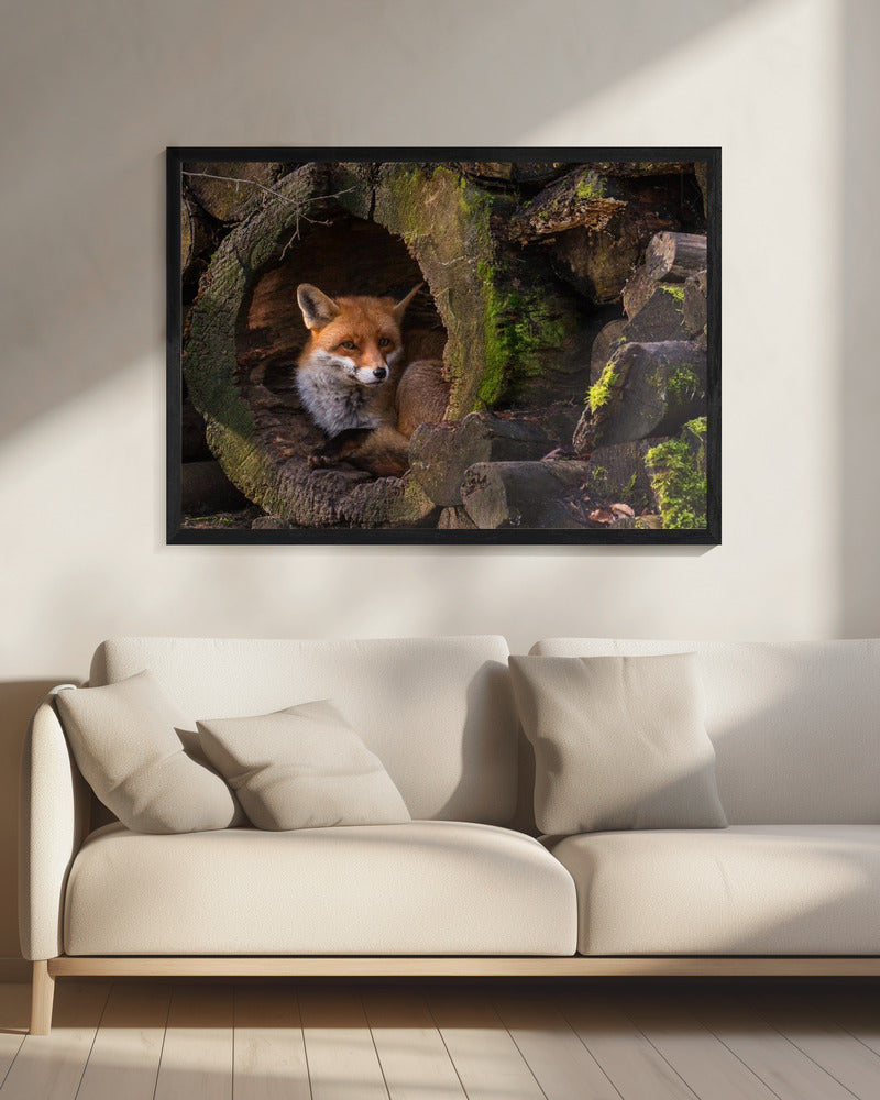 Fuchs | Leinwand