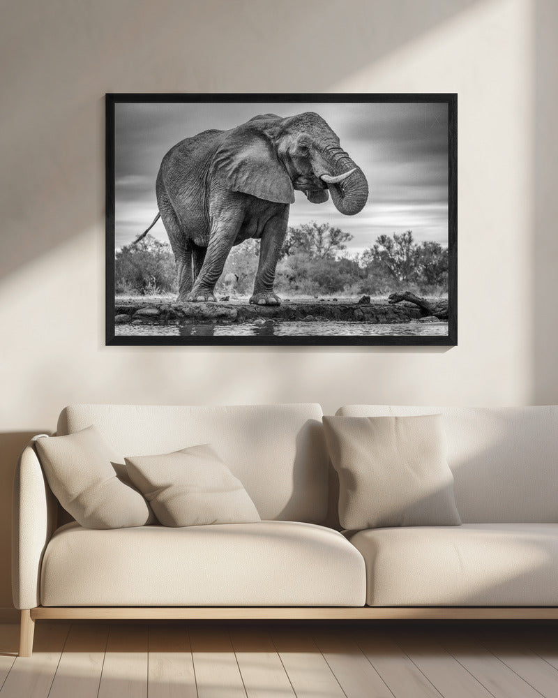 Standing Proud | Canvas