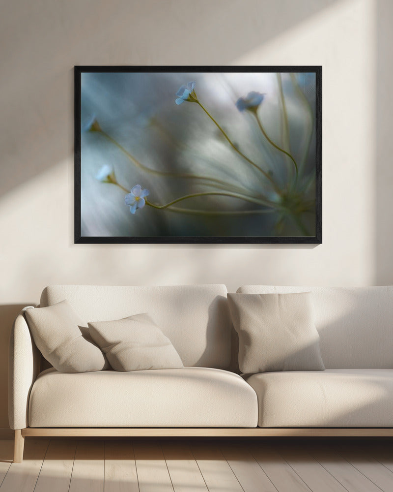 Jasmin | Leinwand