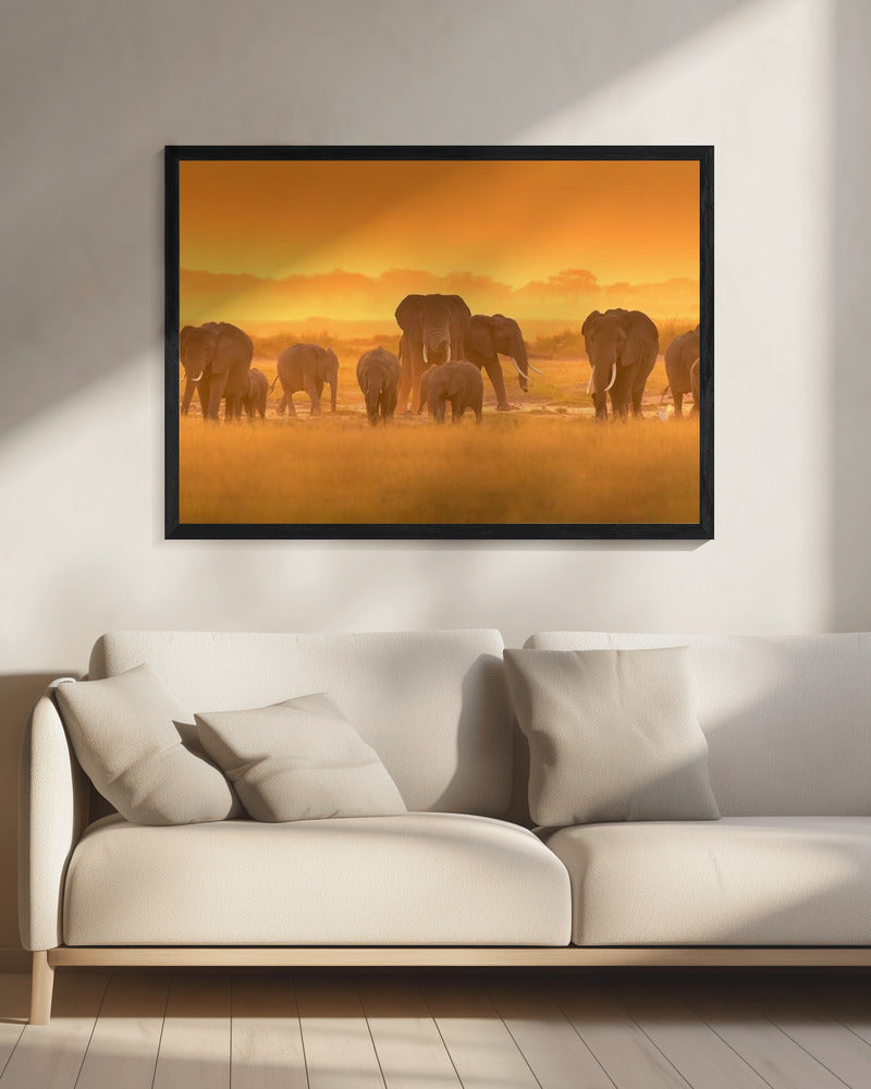 Golden Light | Canvas