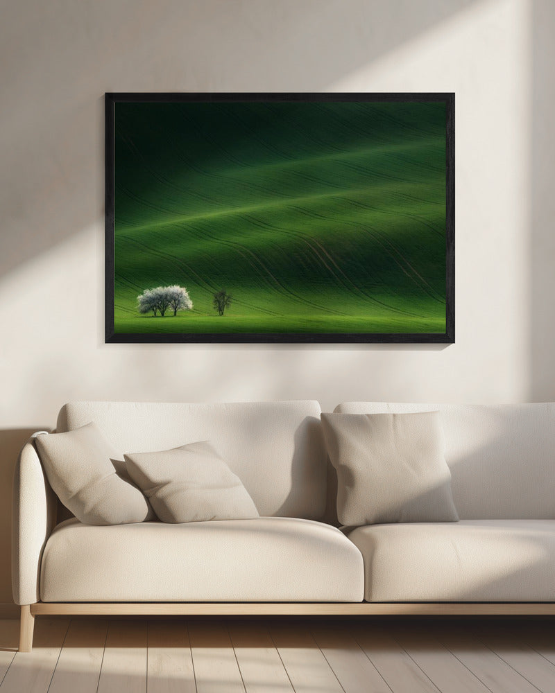 Damen in Weiß | Leinwand
