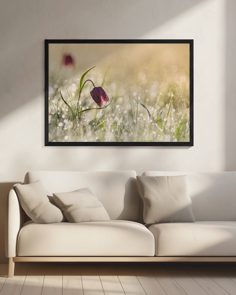Morgentau | Leinwand