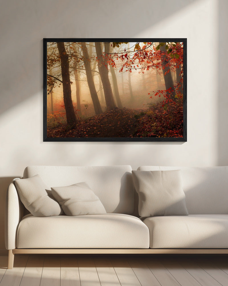 Dem Licht entgegen. | Leinwand