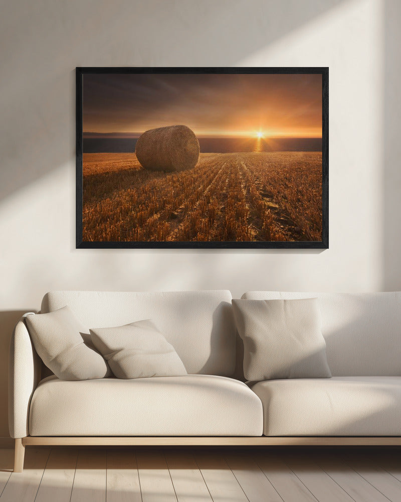 Goldernte | Leinwand