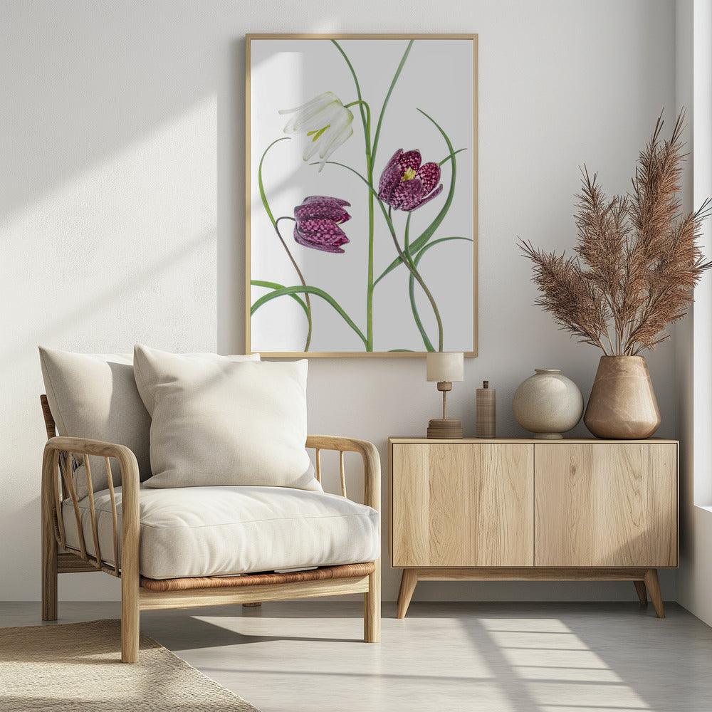 Snakes head Fritillary | Poster
