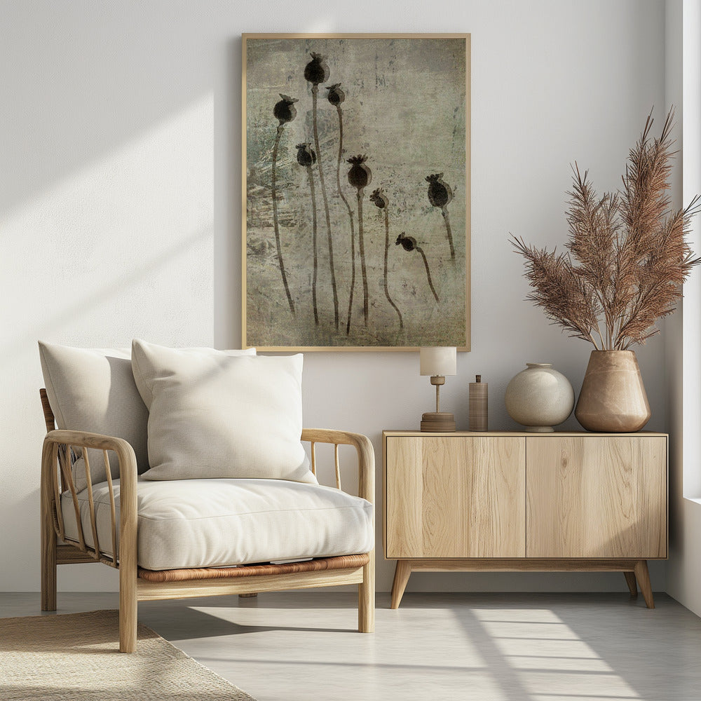 Poppy seedlings | Poster