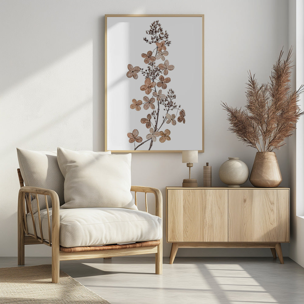 Hortensie Paniculata | Poster