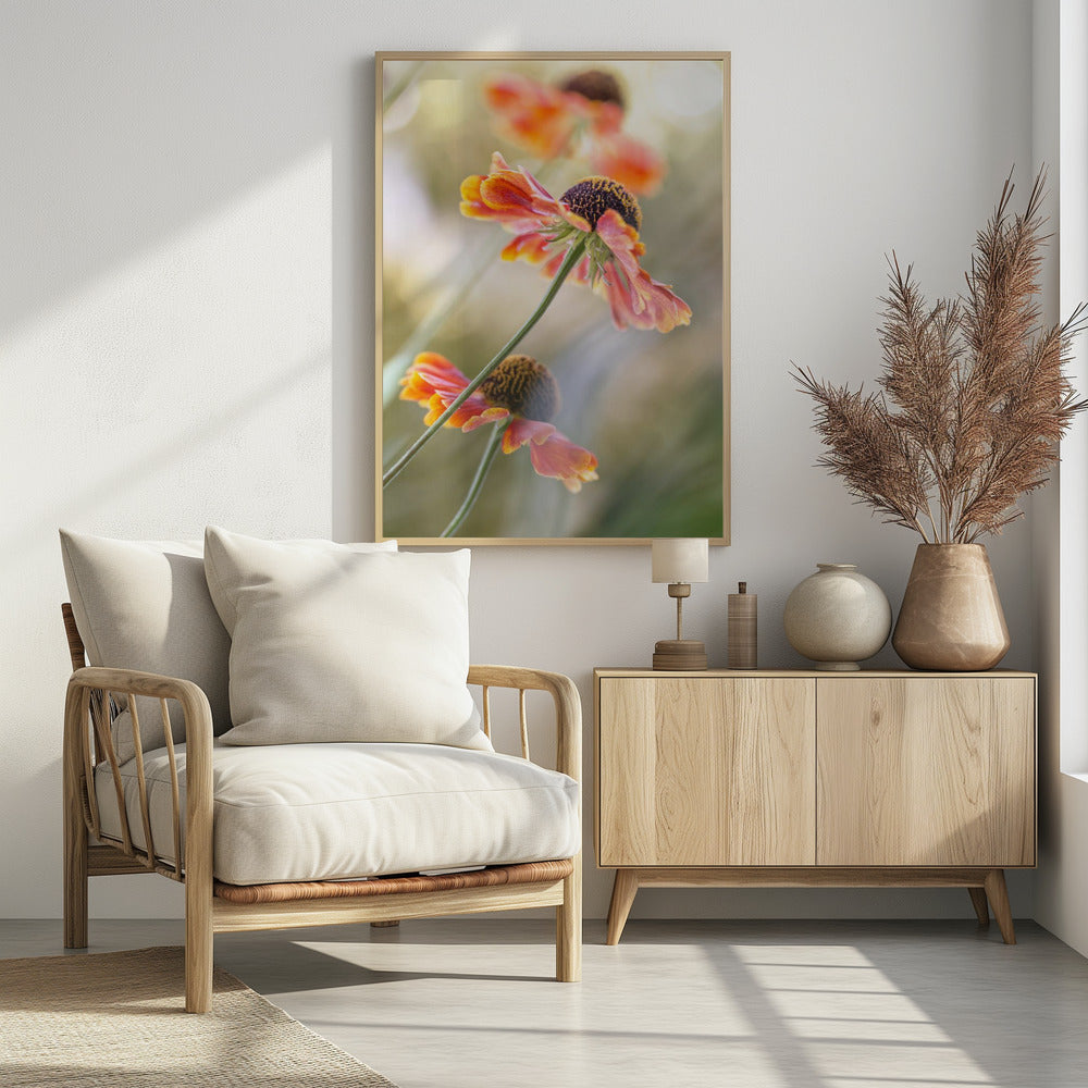 Helenium* | Poster