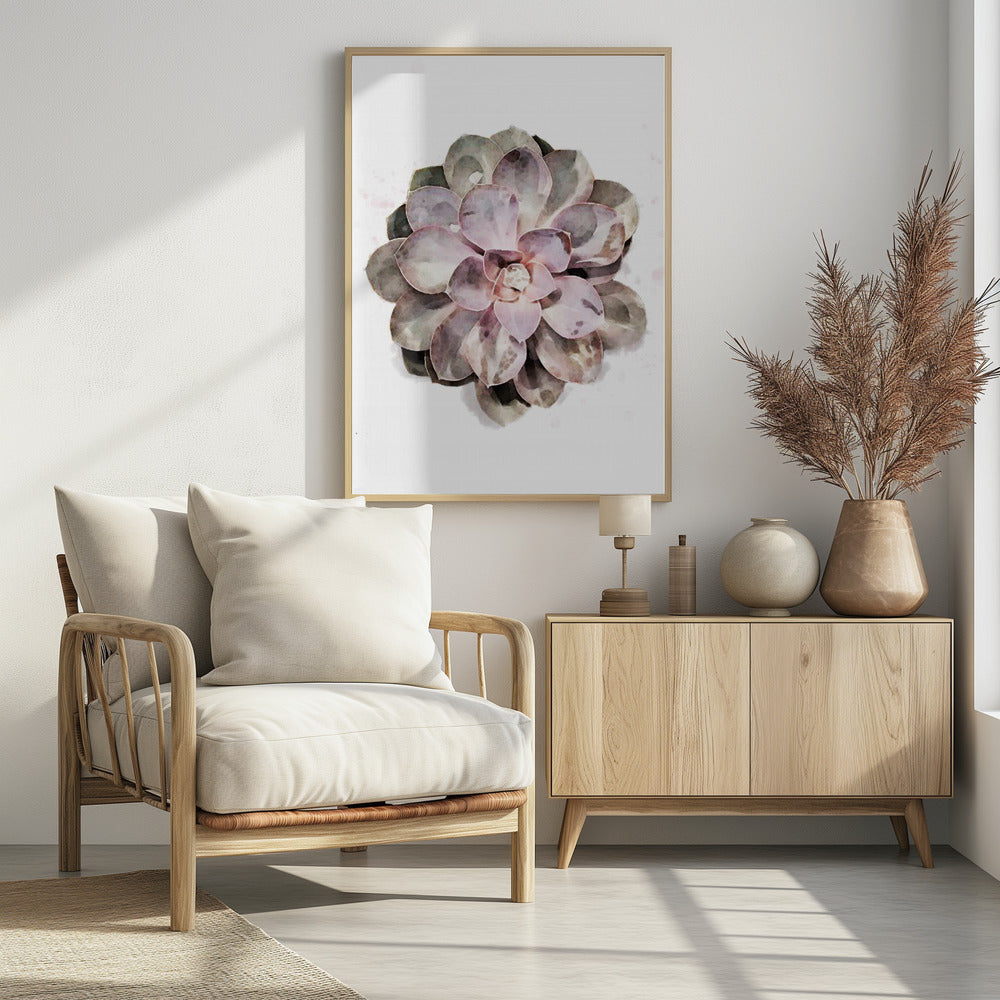 Succulent 01 | Poster