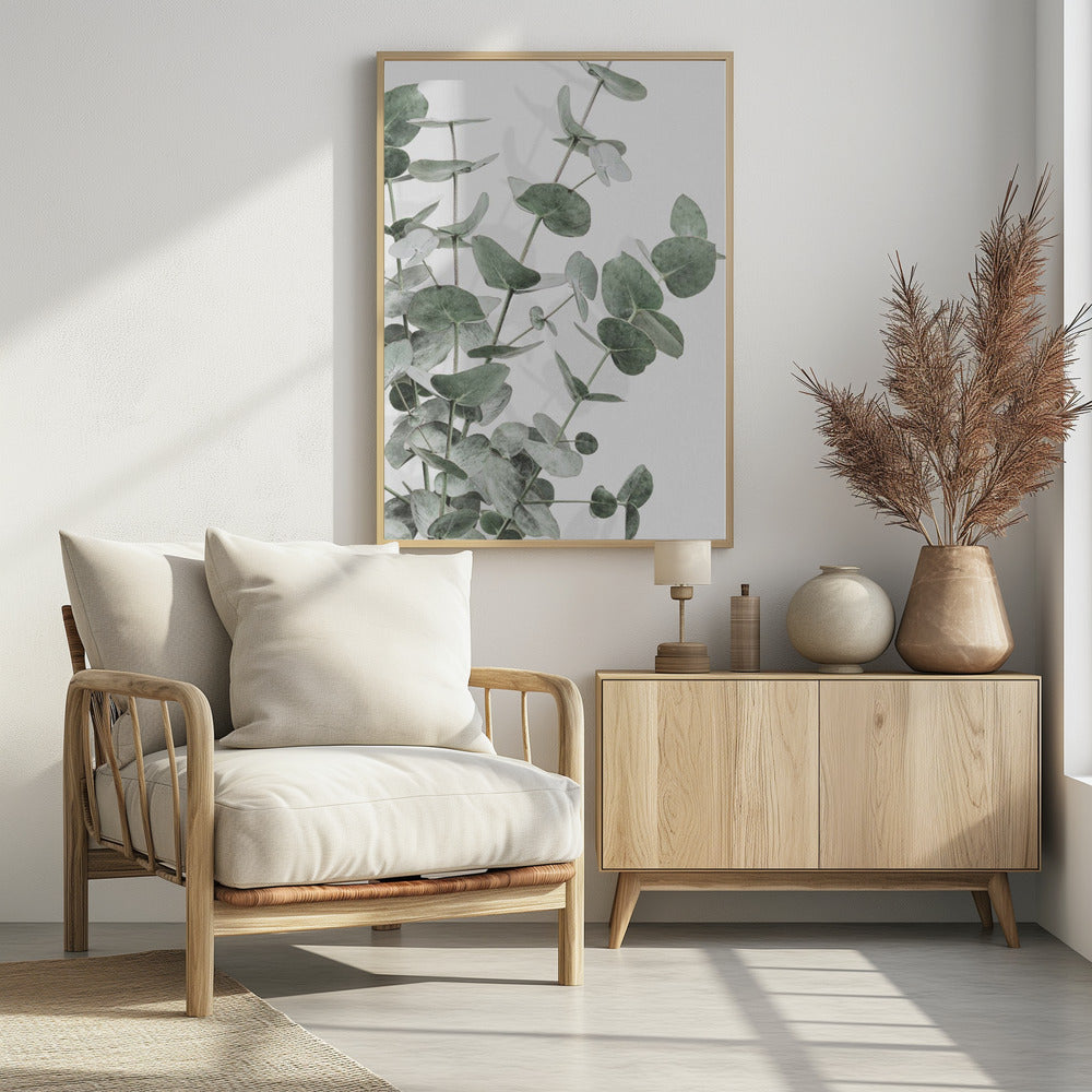 Eucalyptus_003 | Poster
