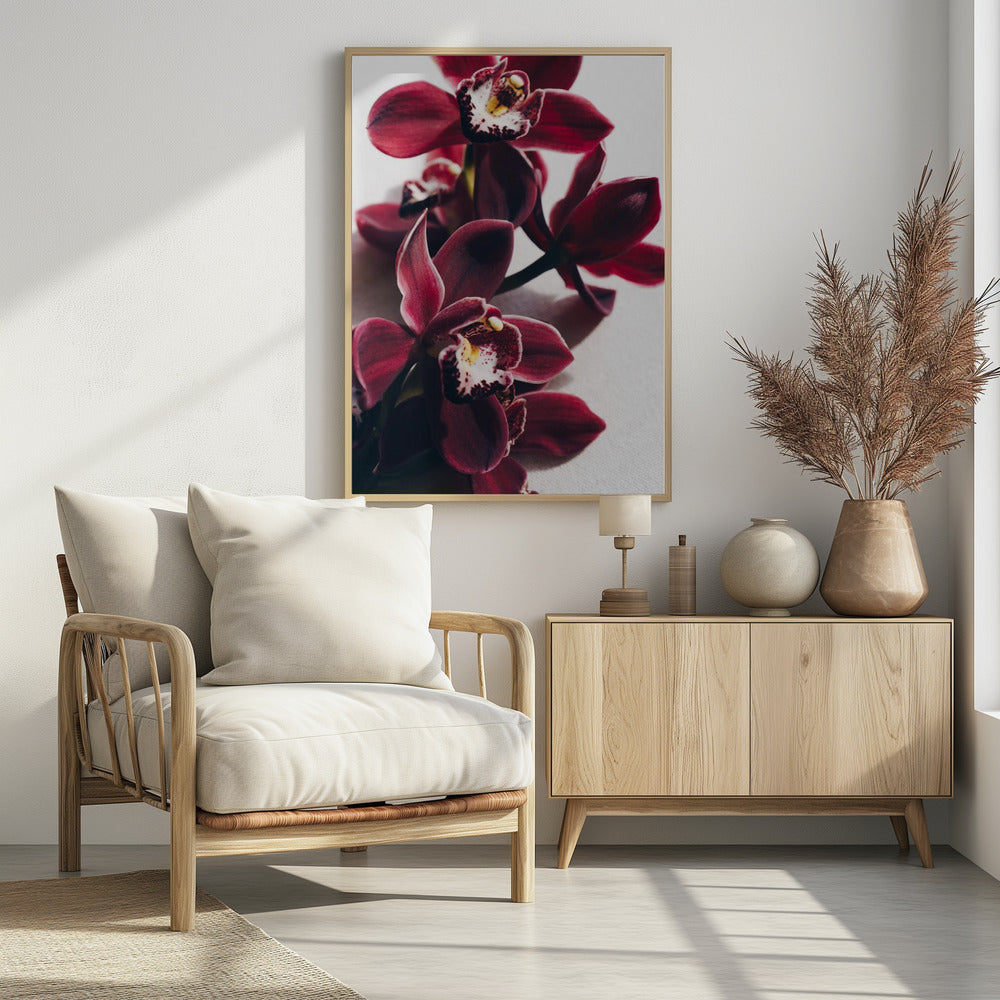 Rote Orchideen mit zarten Blütenblättern | Poster