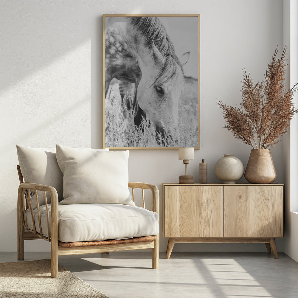 Hengst | Poster
