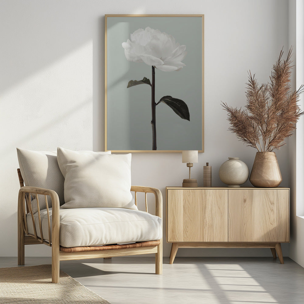 Peony 16 | Poster