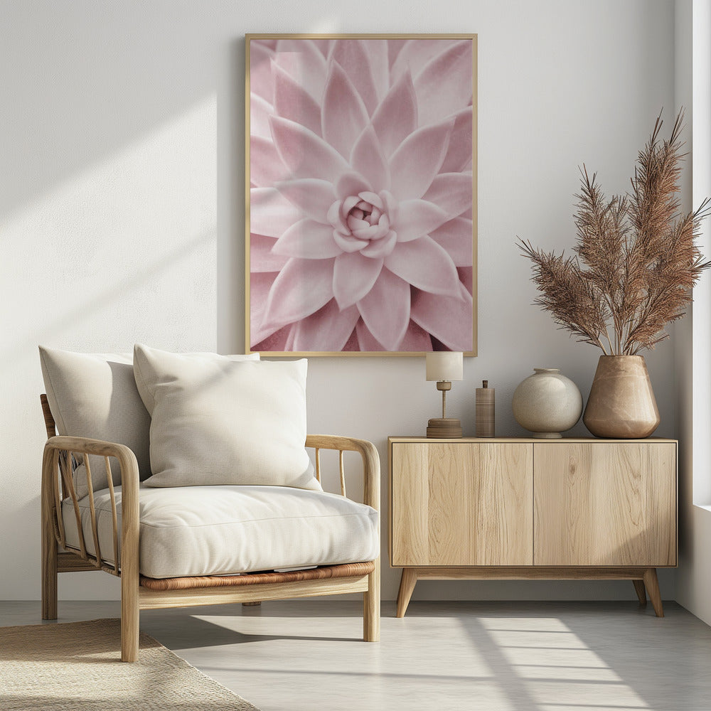 Pink Succulent | Poster