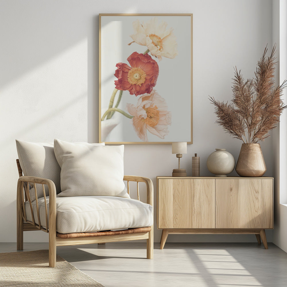 Poppies | Poster