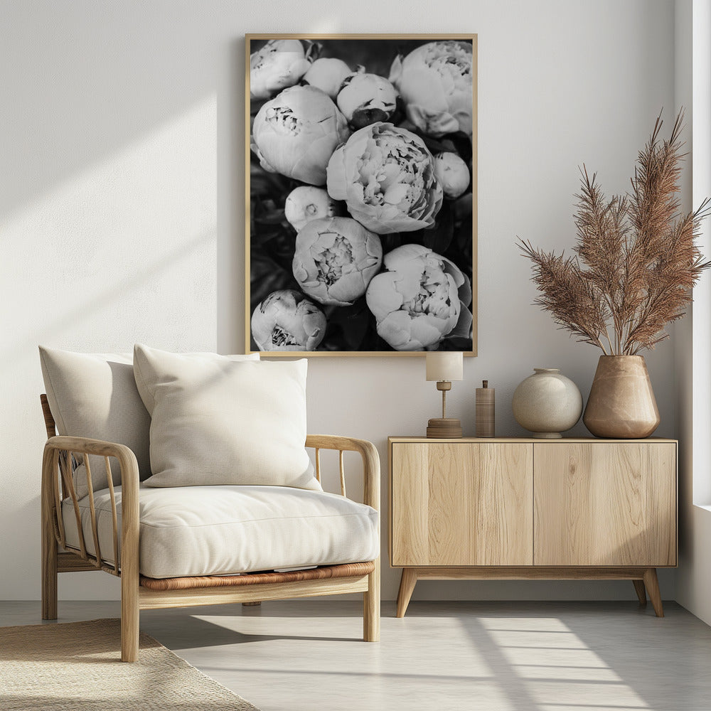 Pfingstrosen | Poster