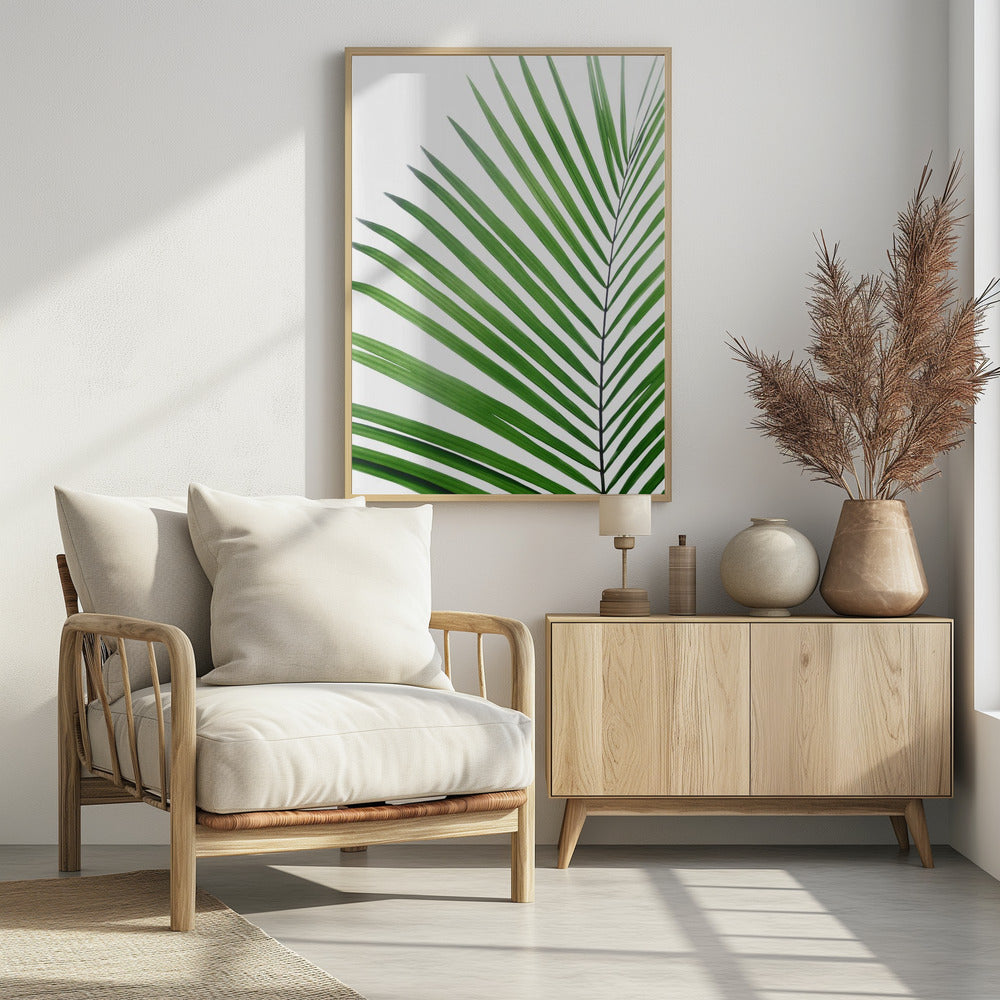 Grünes Palmblatt | Poster