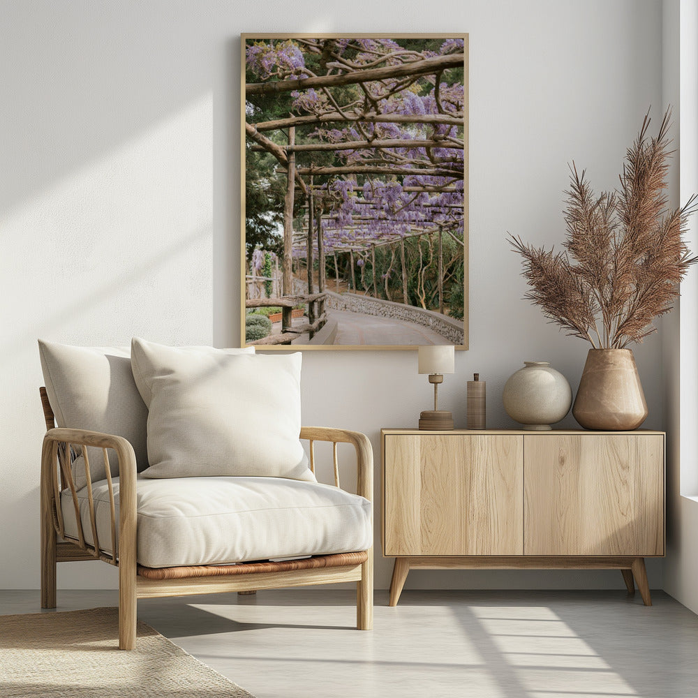 The Lavender Walkway | Poster