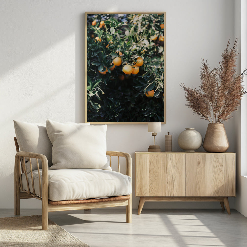 Marrakesch Orangen | Poster