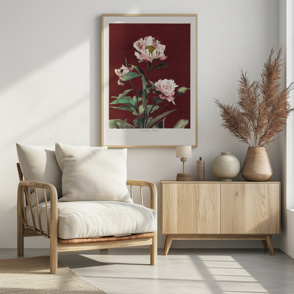 Herzförmige Pfingstrose Nr. 2 | Poster