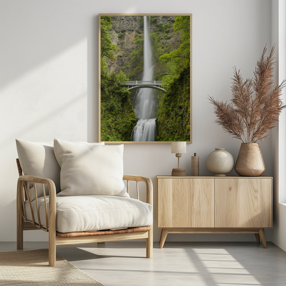 Soft Tail | Poster