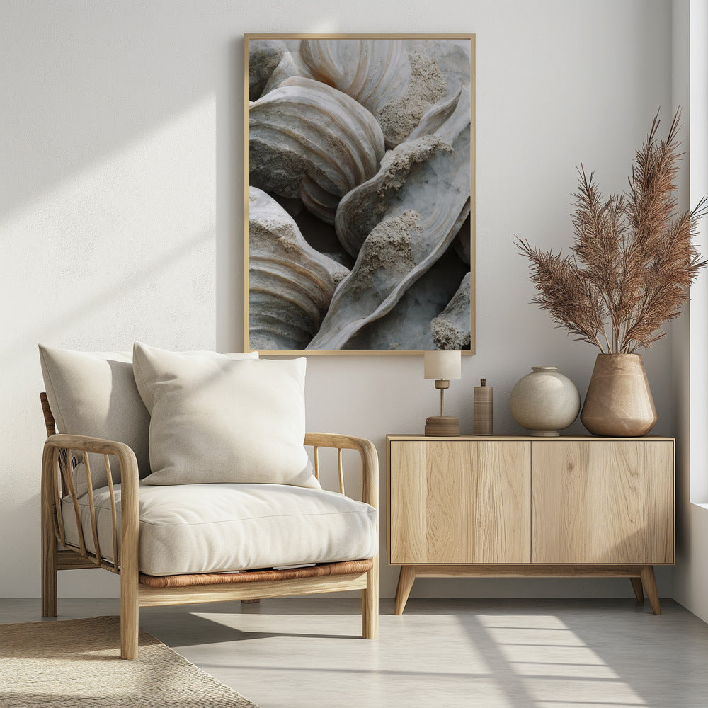 Shell Symphony | Poster