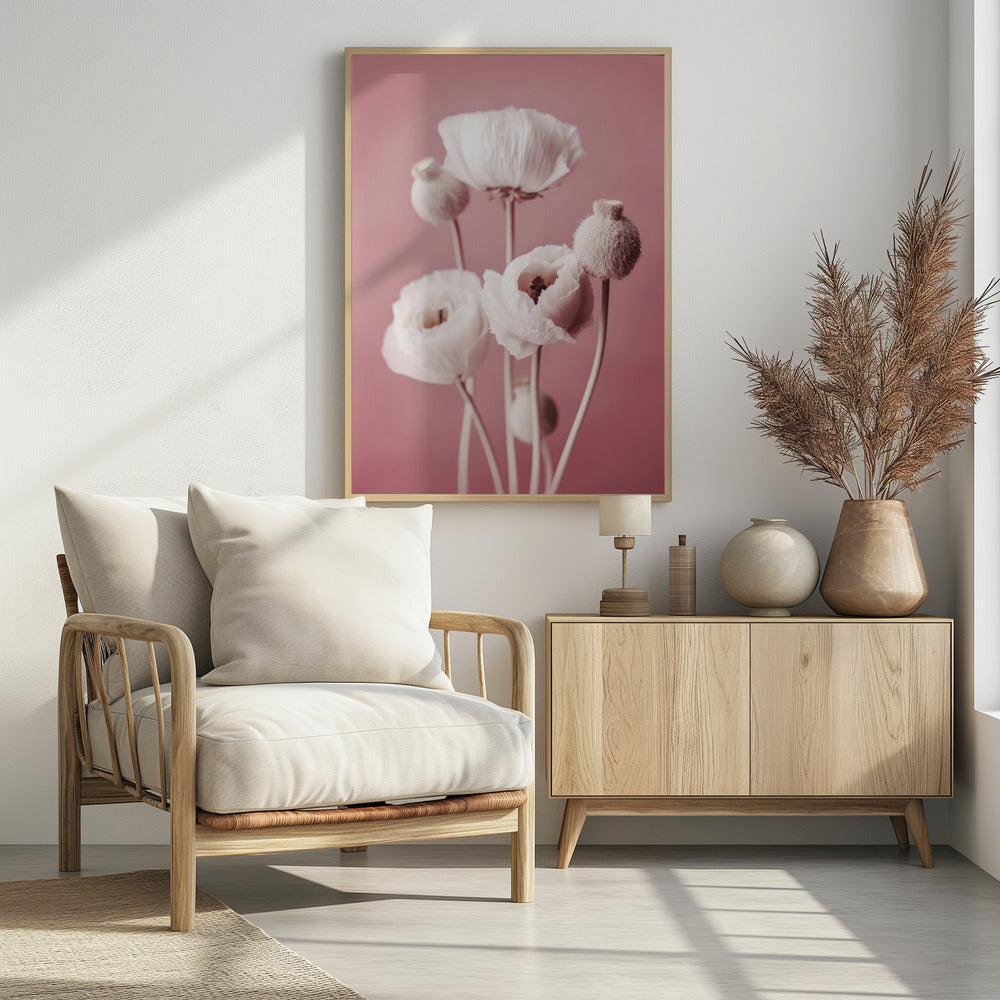 Soft Blooming Poppies | Poster