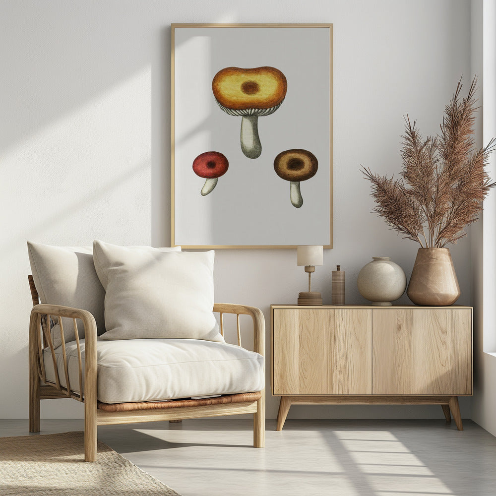 Hand Drawn Galerina Mushroom | Poster